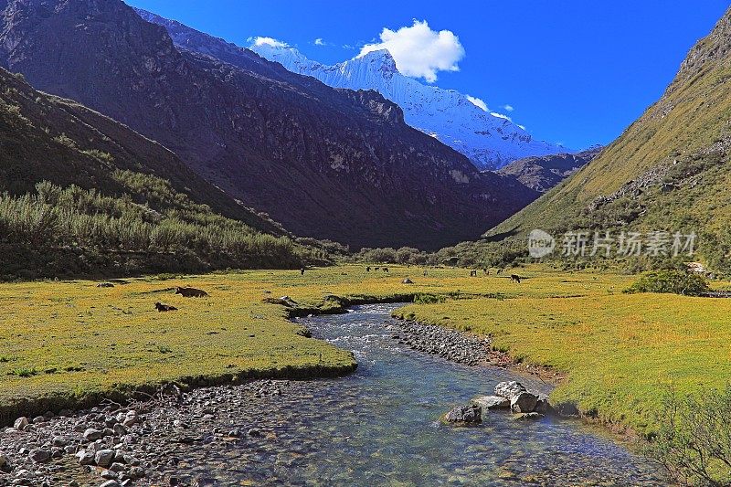 布兰卡的Cordillera河与Chacraraju (6108m)――秘鲁安第斯山脉的Ancash